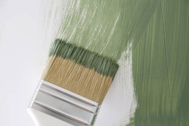 Best Commercial Mold Inspection  in Day Heights, OH