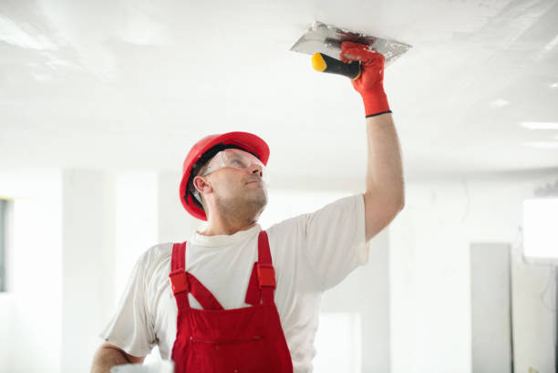 Best Asbestos and Lead Testing During Mold Inspection  in Day Heights, OH
