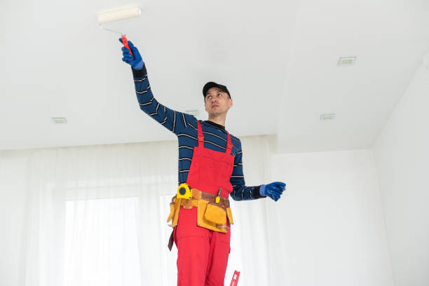 Best Black Mold Removal  in Day Heights, OH