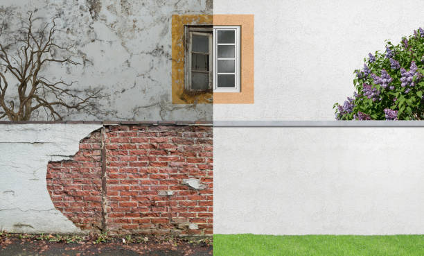 Best Water Damage & Mold Remediation  in Day Heights, OH
