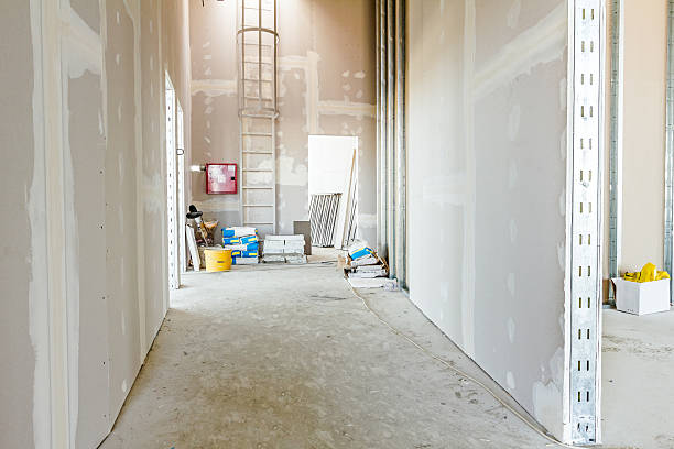 Best Environmental Consulting for Mold Prevention  in Day Heights, OH